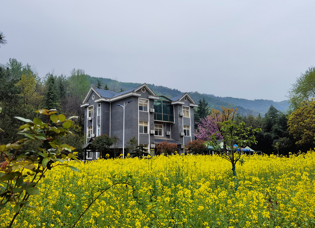 饶平绿岛山庄旅游攻略 - 知乎