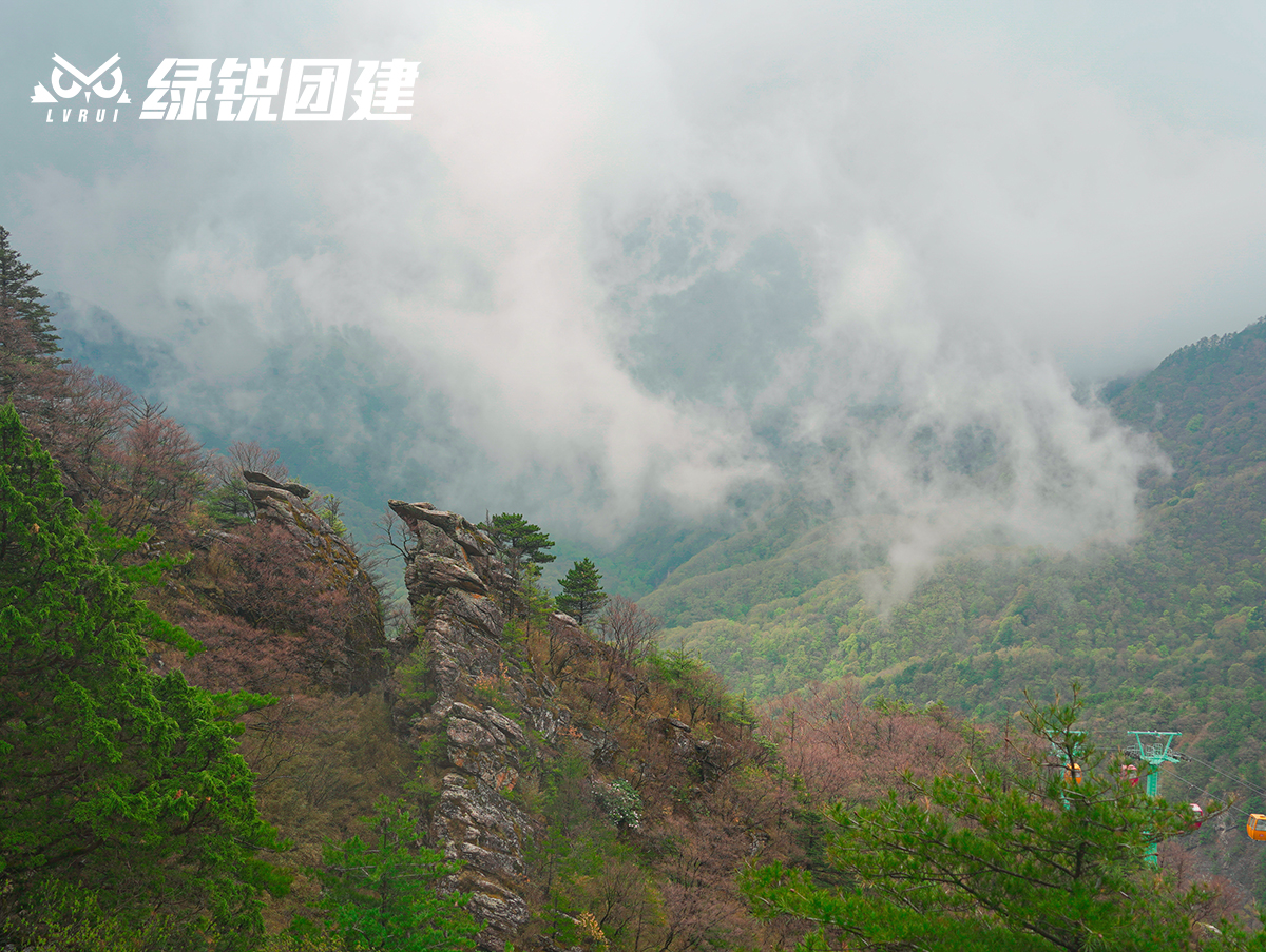 春晖集团高管修习班--冰晶顶登高团建