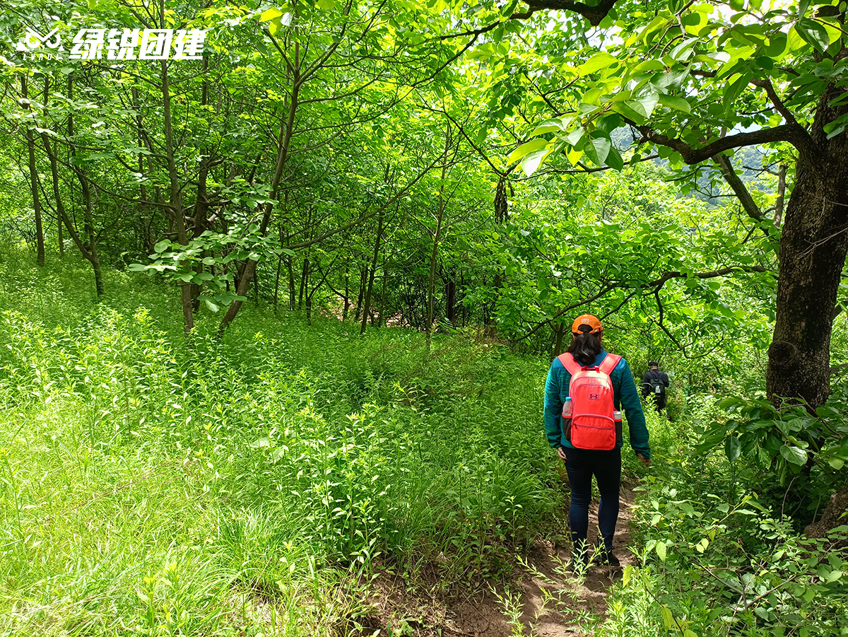 平安产险陕西分公司工会--小五台户外徒步团建