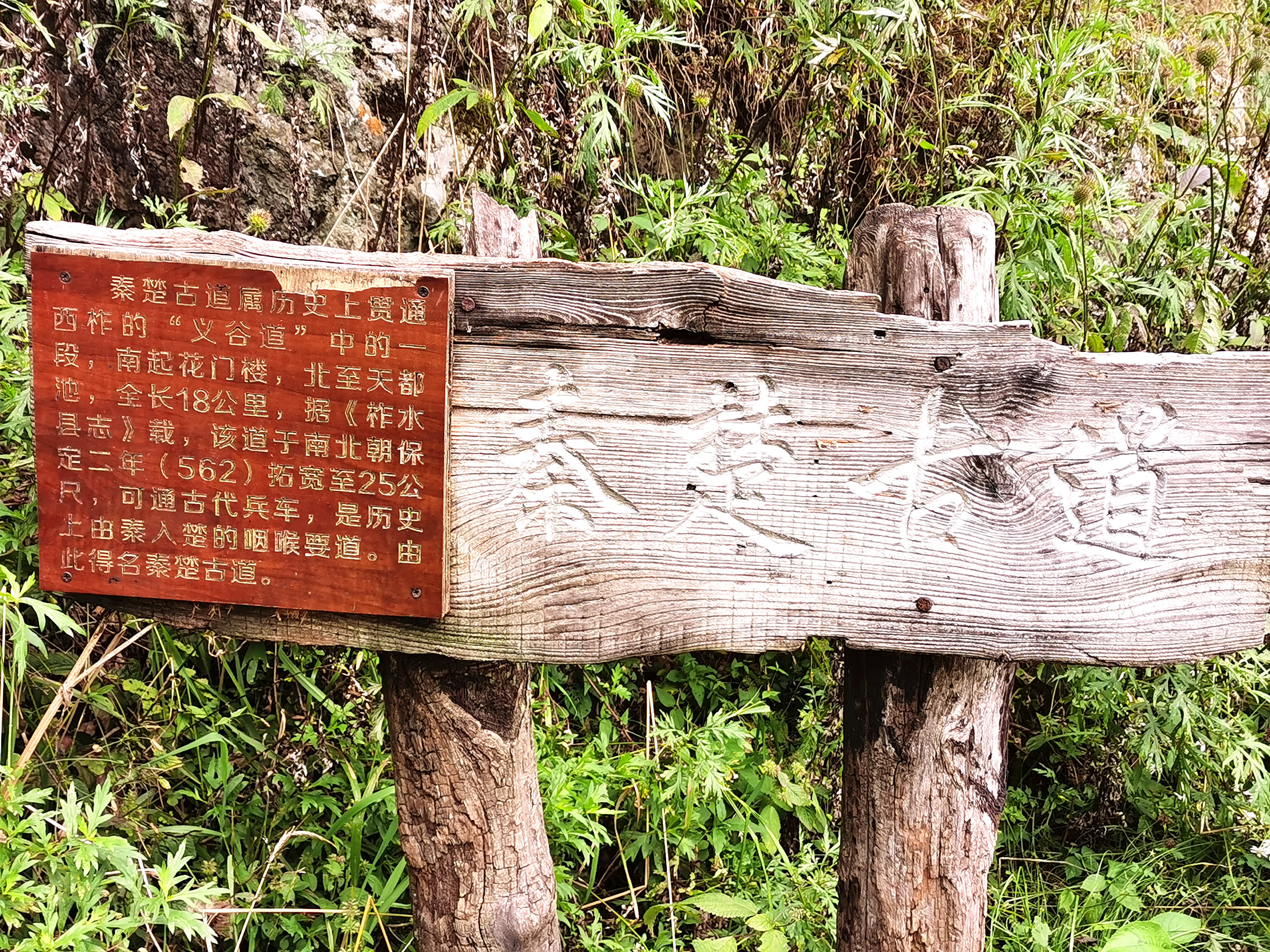 秦楚古道徒步登山团建