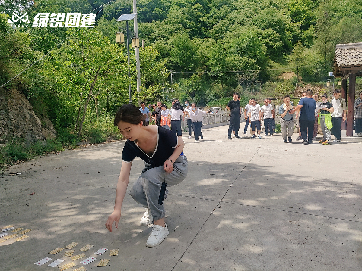阳光装饰--牛背梁团建拓展活动