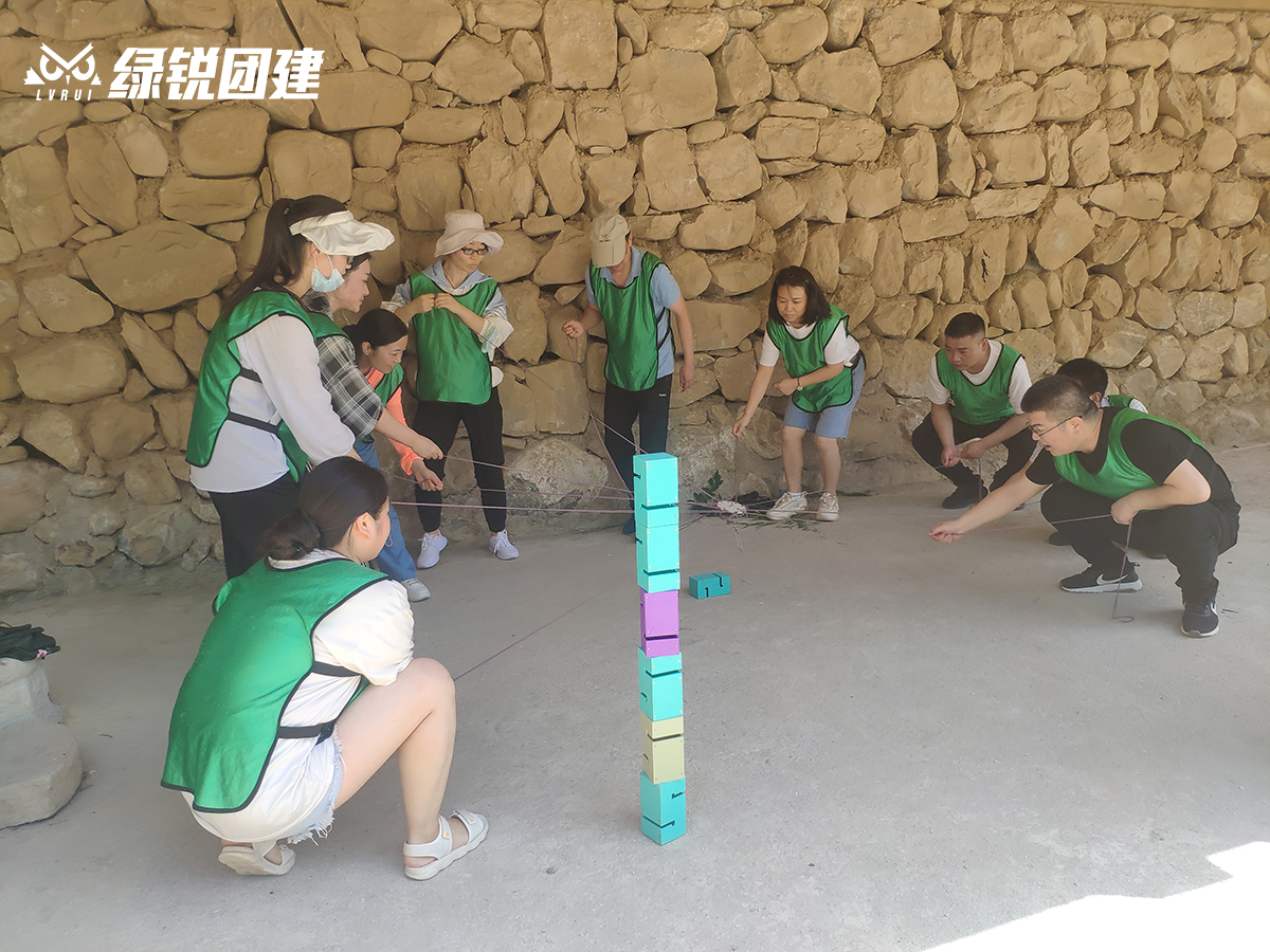 阳光装饰--牛背梁团建拓展活动