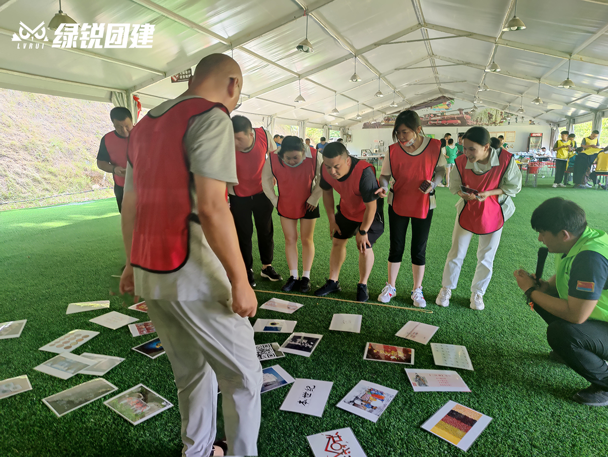 阳光装饰--牛背梁团建拓展活动