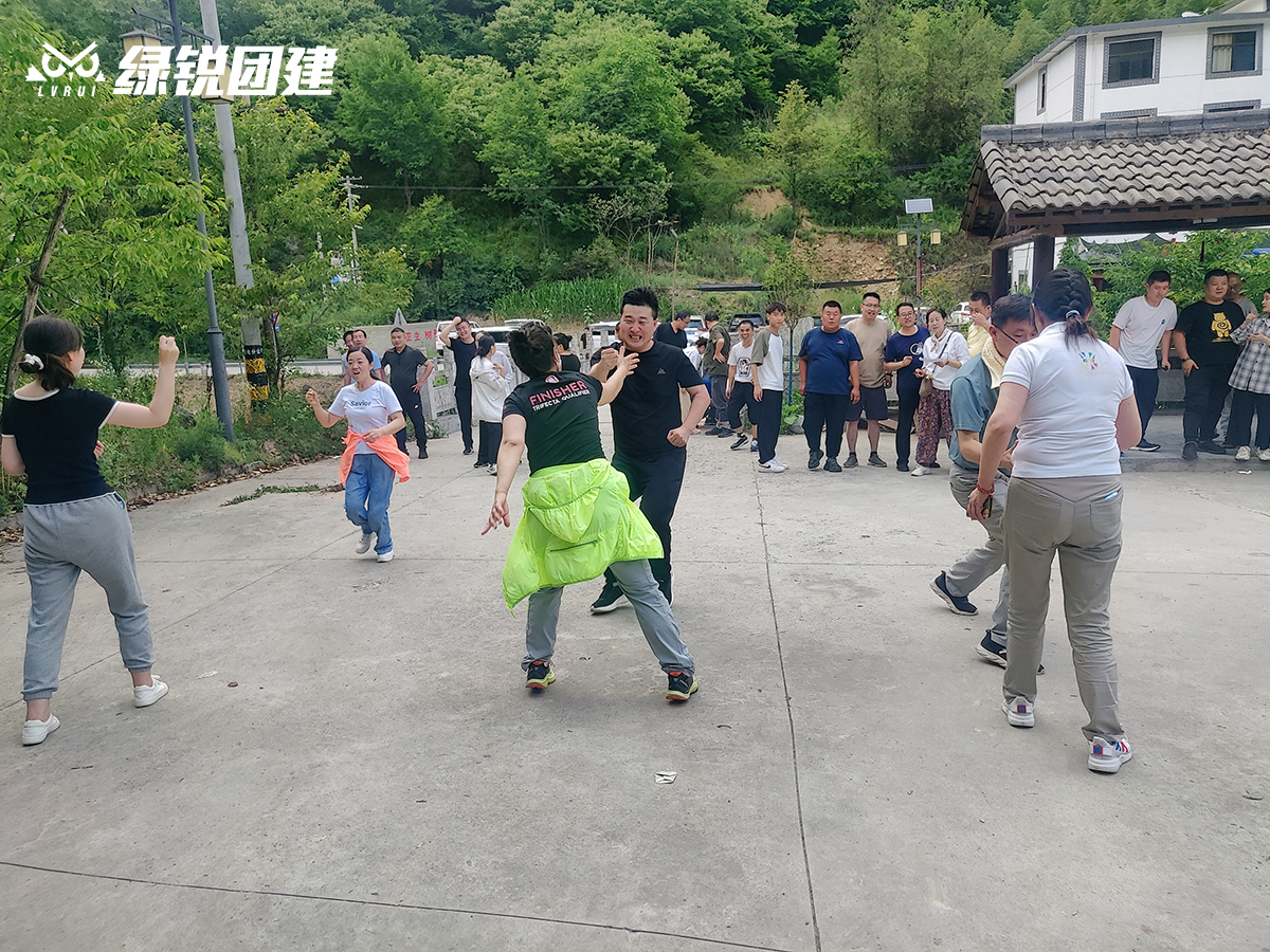 阳光装饰--牛背梁团建拓展活动
