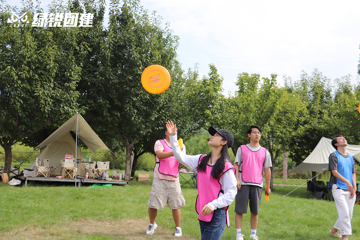 欧卡智舶--太白山飞盘团建