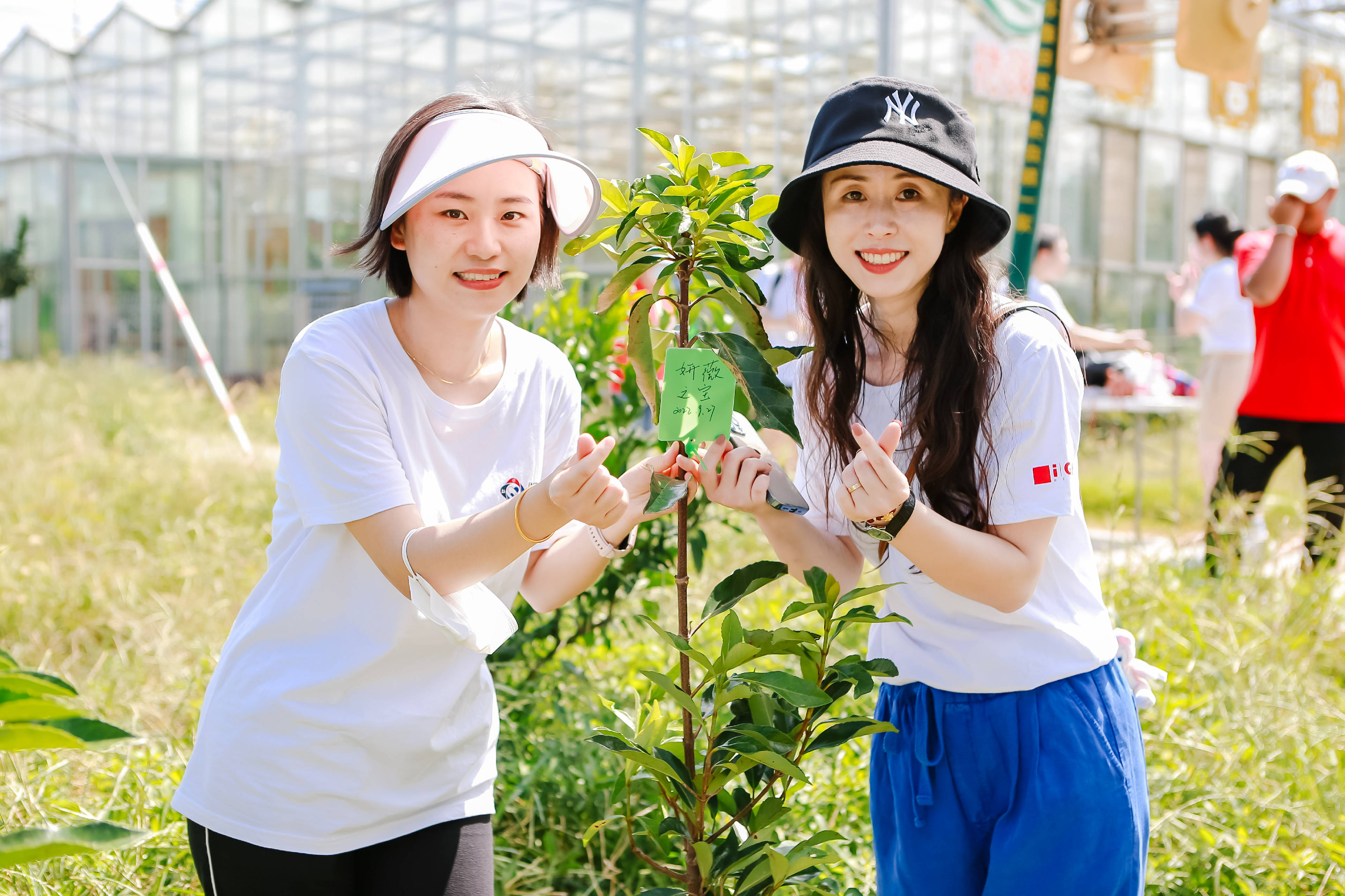 春游踏青团建