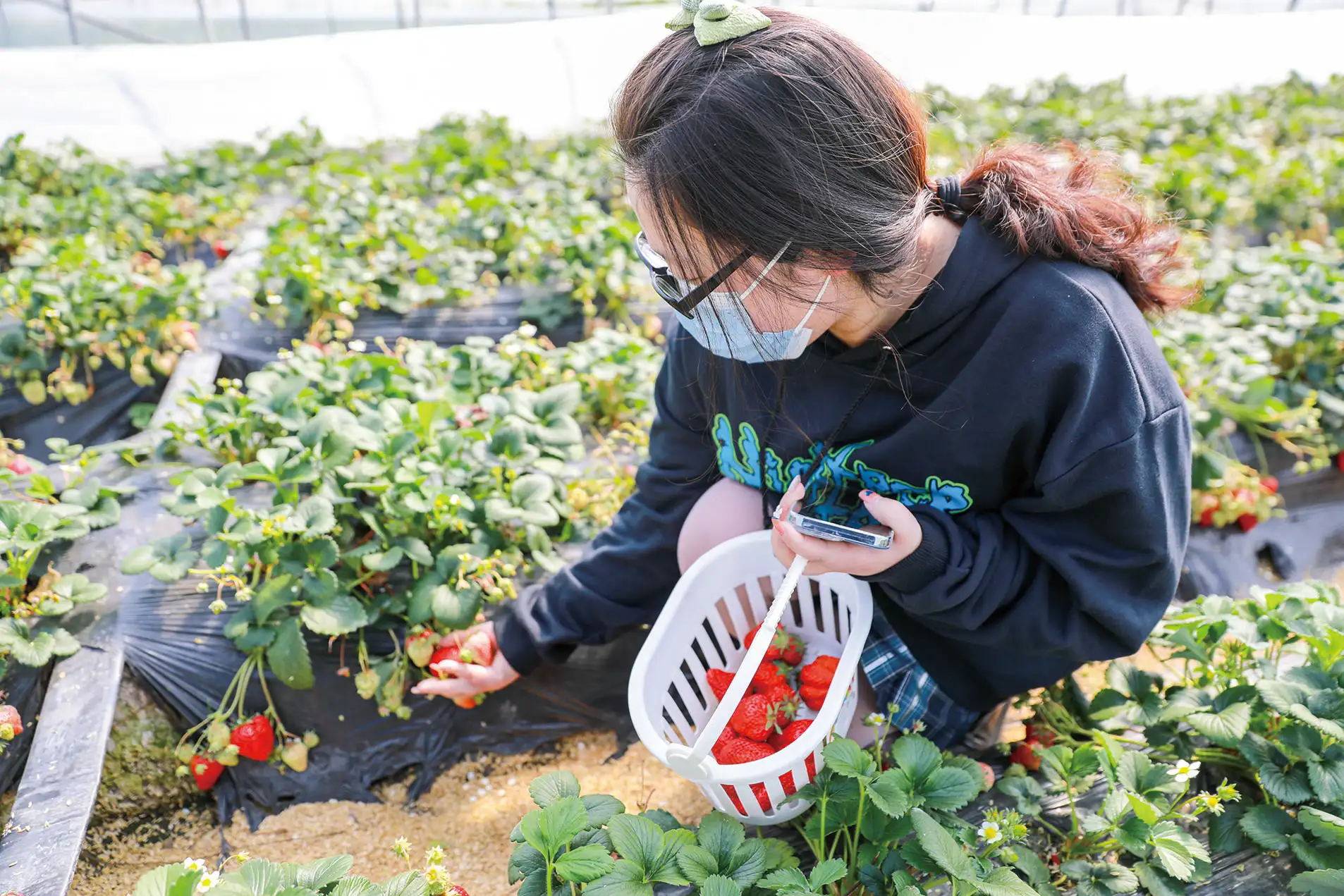 3.8女神节团建活动