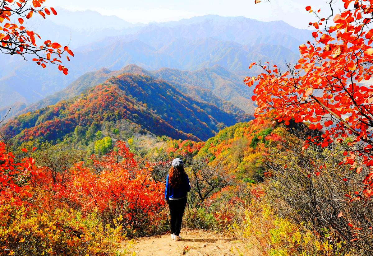 秋季主题团建-山野徒步活动