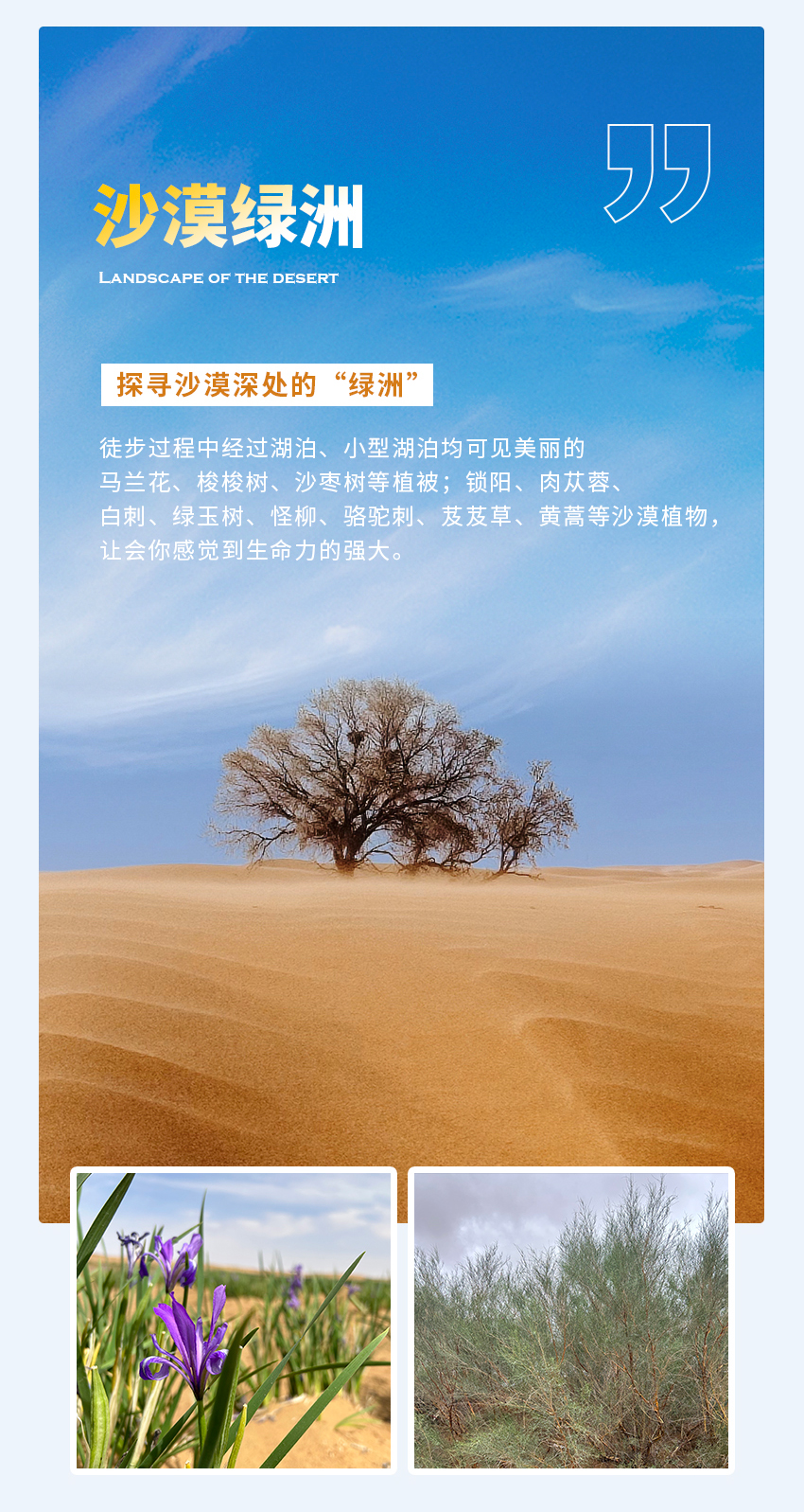 戈壁沙漠团建--腾格里沙漠徒步毅行团建